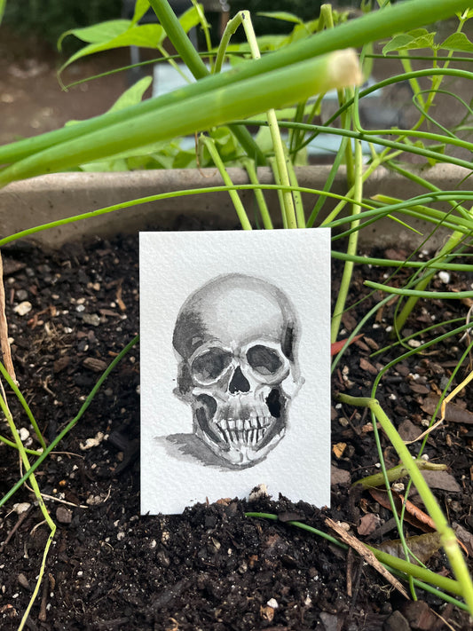 Tiny Skull