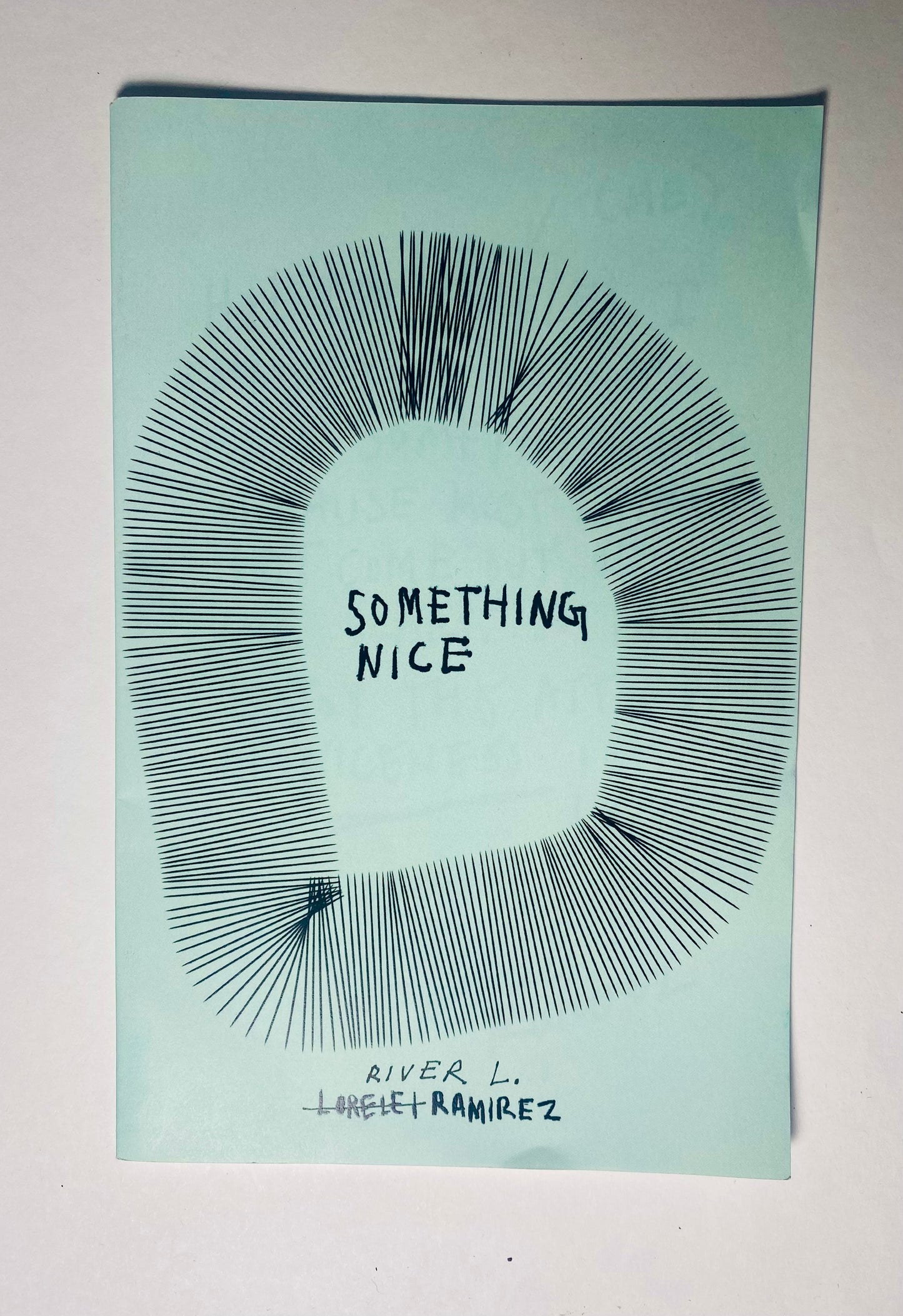 SOMETHING NICE Zine